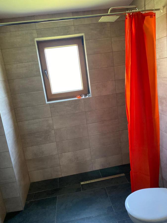 Casa Cerbului Lägenhet Vişeu de Sus Exteriör bild