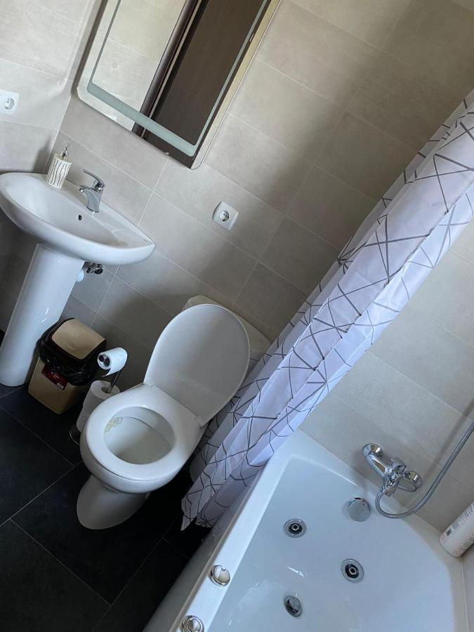 Casa Cerbului Lägenhet Vişeu de Sus Exteriör bild